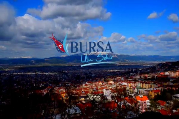 Bursa