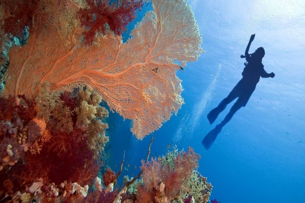 Sharm El Sheikh