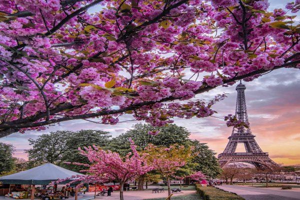 Paris-Novruz bayramı