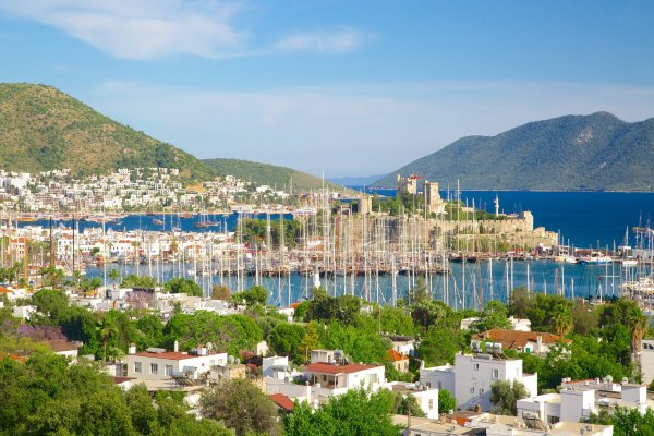 Bodrum Tələsin!